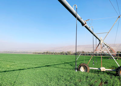 Scenic view of agricultural field against clear sky