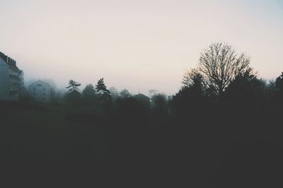 Silhouette of trees against clear sky