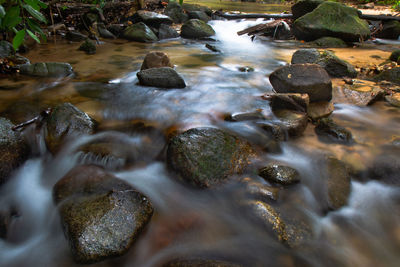 Blurred motion of stream flowing in forest