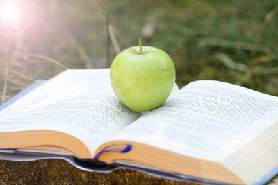 Close-up of apple and book on table