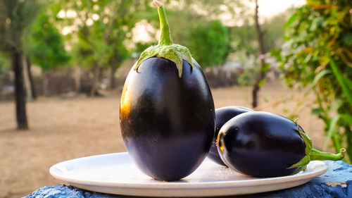 Close-up of fruit on table