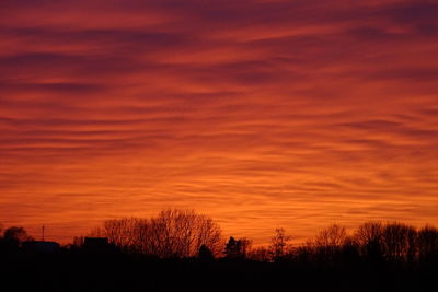 Silhouette trees against orange sky