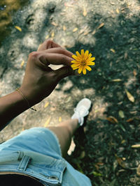 Low section of woman holding yellow flower