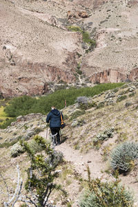 Rear view of man walking on land