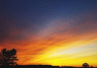 Low angle view of silhouette trees against sky during sunset