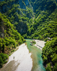 High angle view of river amidst trees in forest