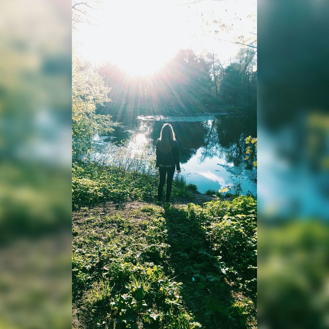 sun, sunbeam, sunlight, lens flare, tree, water, nature, growth, plant, reflection, tranquility, beauty in nature, sunny, day, outdoors, grass, sky, tranquil scene