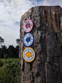 Close-up of information sign on tree trunk