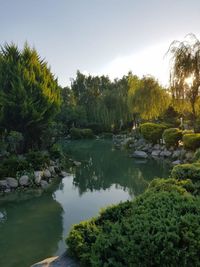 Scenic view of lake in forest against sky