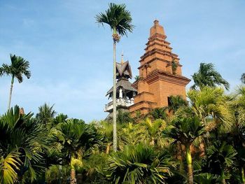 Low angle view of palm trees against sky