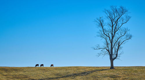 People walking on field against clear blue sky