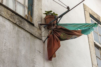 Low angle view of torn portuguese flag and potted plant on wall