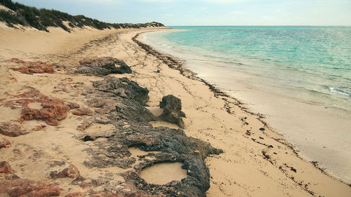 Scenic view of beach against sky