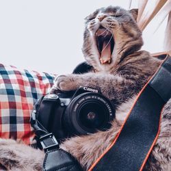 Man photographing with camera