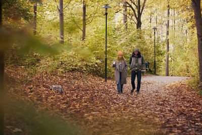 Couple walking in autumn forest