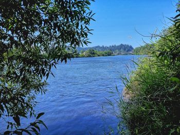 Scenic view of river against clear blue sky