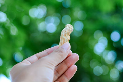 Close-up of hand holding ice cream