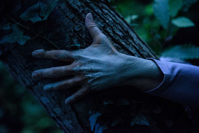 Close-up of hand touching tree trunk in forest