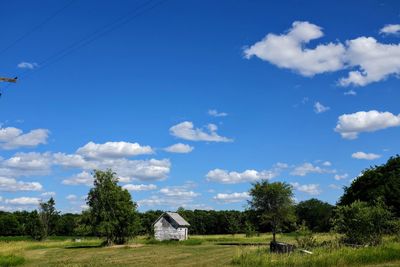 Trees on field against sky