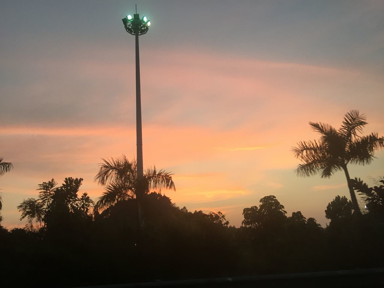 sunset, tree, silhouette, sky, palm tree, tranquility, beauty in nature, street light, scenics, tranquil scene, orange color, nature, cloud - sky, low angle view, growth, idyllic, cloud, outdoors, no people, dusk