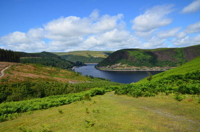 Scenic view of river amidst trees against sky