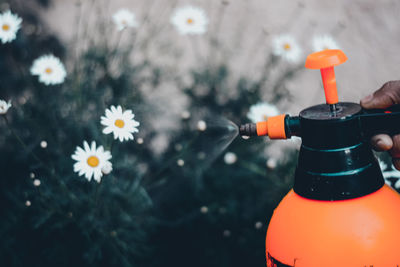 Cropped hand spraying flowers in lawn