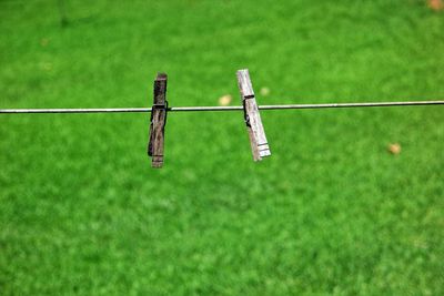 Wooden clothespins hanging on clothesline over grassy field