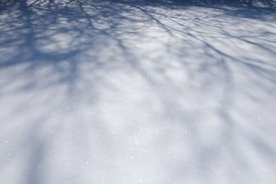 Full frame shot of snowflakes