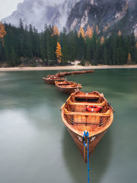 Boat moored on lake against trees