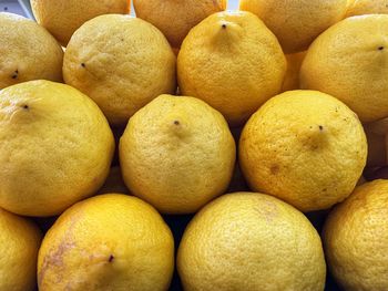 Full frame shot of oranges