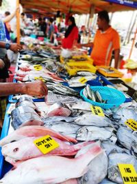 Fish for sale at market stall