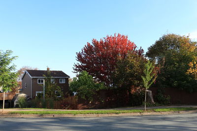 House by trees against clear sky