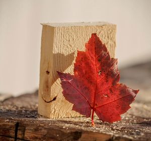 Close-up of dry maple leaves on wooden table