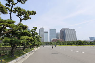 Trees in city against sky