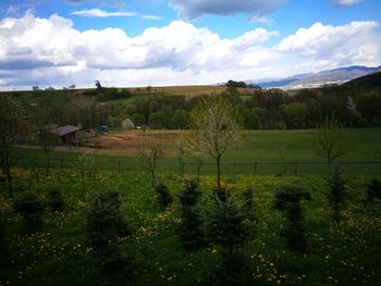 Scenic view of grassy field against cloudy sky