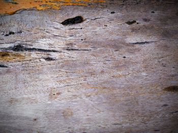 Detail shot of weathered wall