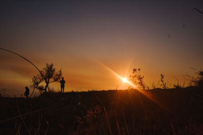 Silhouette plants on field against sky during sunset