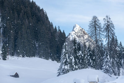 Snow covered land and trees against sky