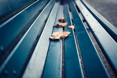 High angle view of dry leaf on wood