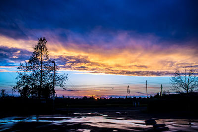 Silhouette trees and electricity pylon against sky during sunset