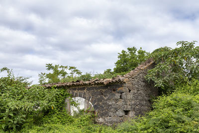 Plants by old building against sky