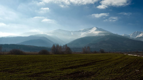 Scenic view of field against sky