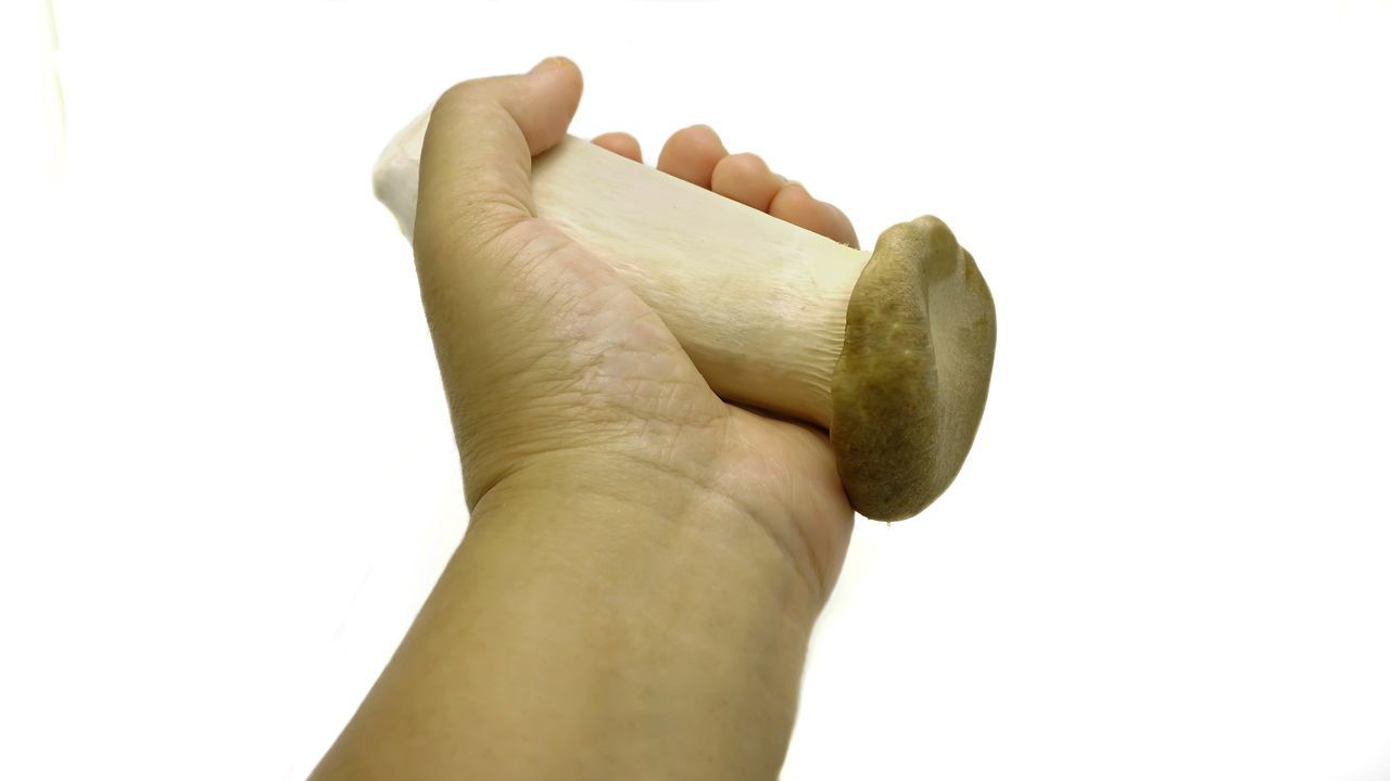 French horn mushroom