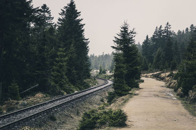 View of railroad tracks amidst trees in forest against sky