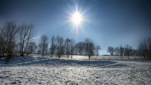 Bare trees on snow covered landscape