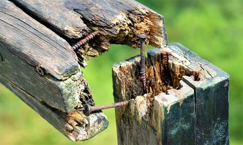 Close-up of damaged wooden log