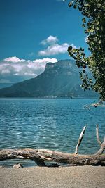 nature