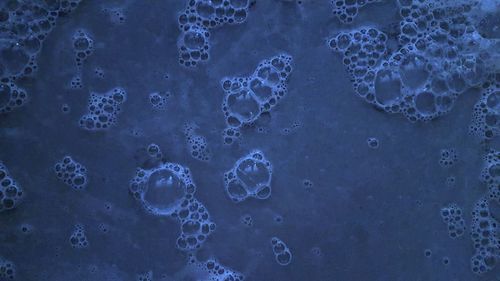 Full frame shot of wet bubbles