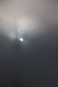 Close-up of illuminated street light