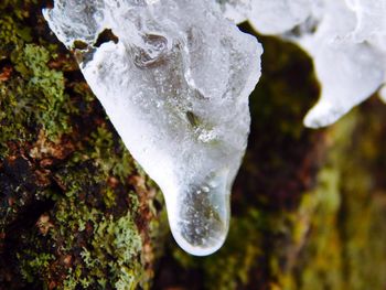 Close-up of ice crystals